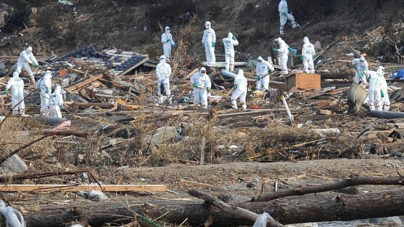 Neues Erdbeben erschüttert Japan - Fukushima und Miyagi evakuiert