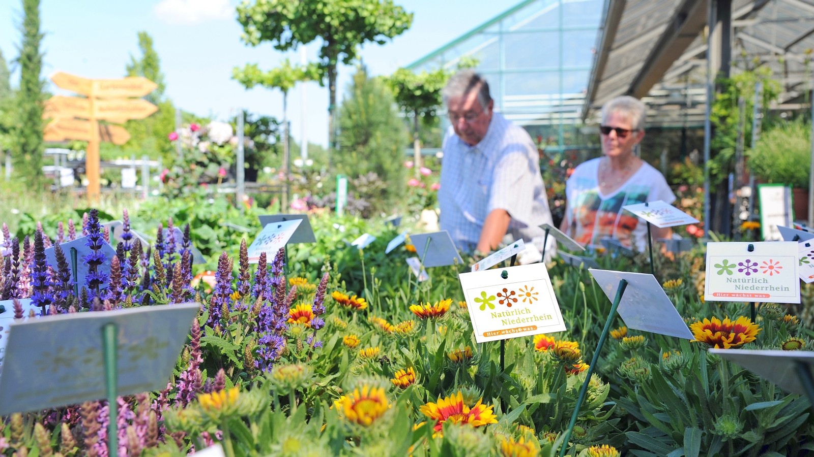 35+ Größtes Gartencenter Niederrhein, Unser ladengeschäft ist mit