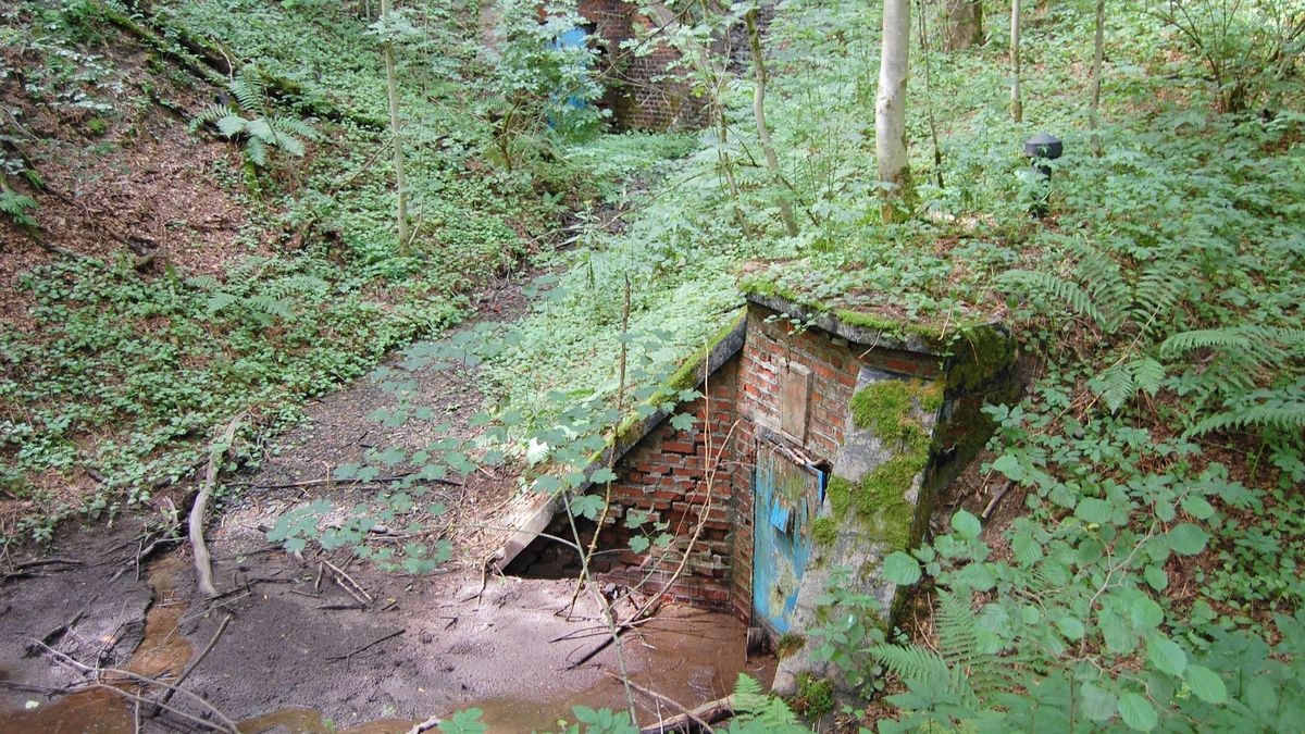 Eintauchen in die Berleburger Unterwelt