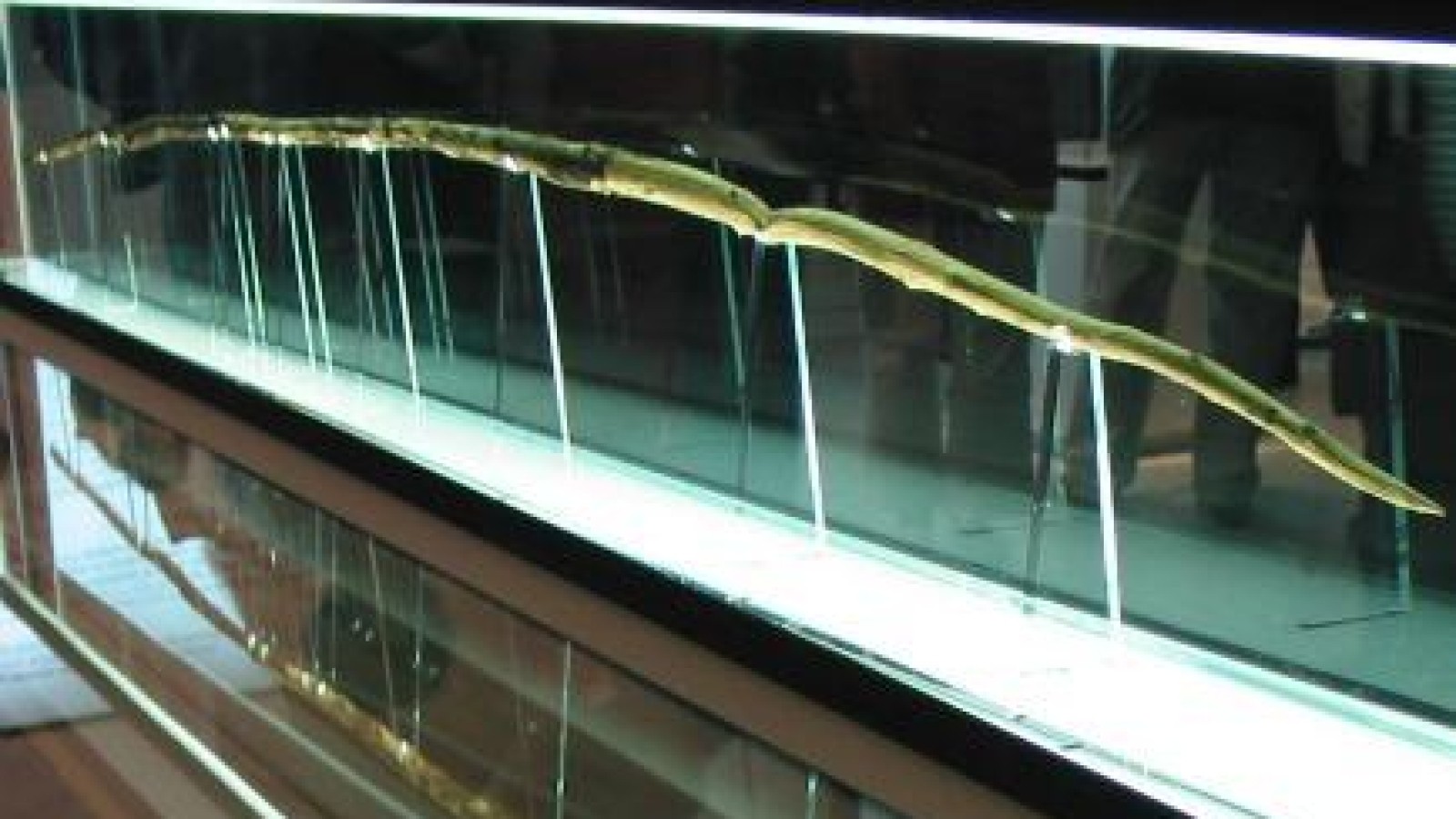 Schöninger Speere bekommen Museum