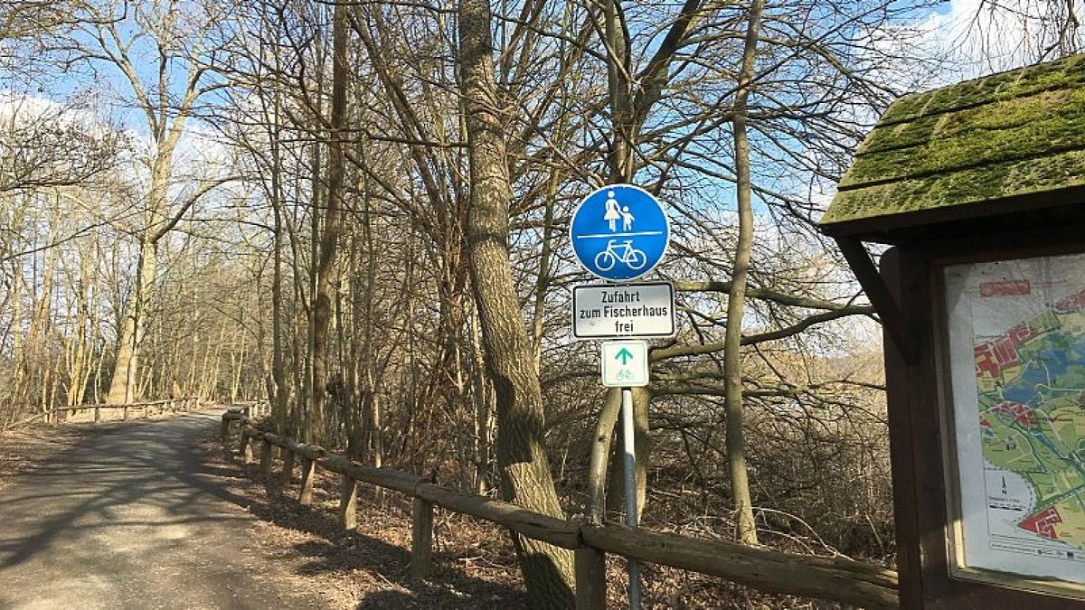 Autos fahren durchs Naturschutzgebiet