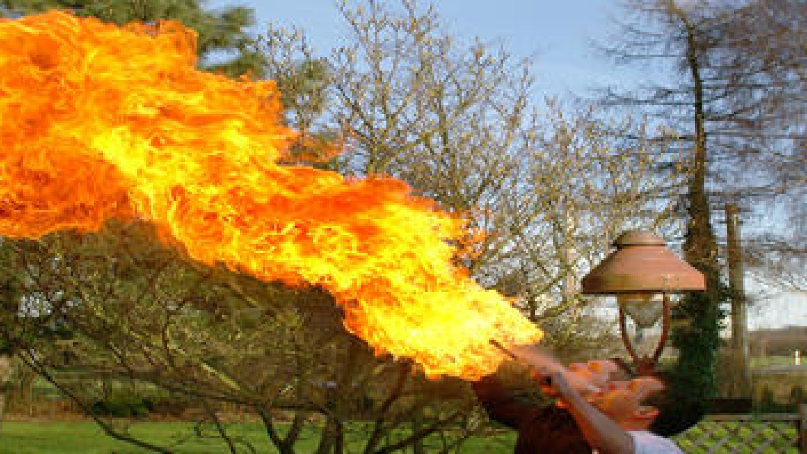 Mit Schmalzstulle und Maibowle Mit Schmalzstulle und Maibowle