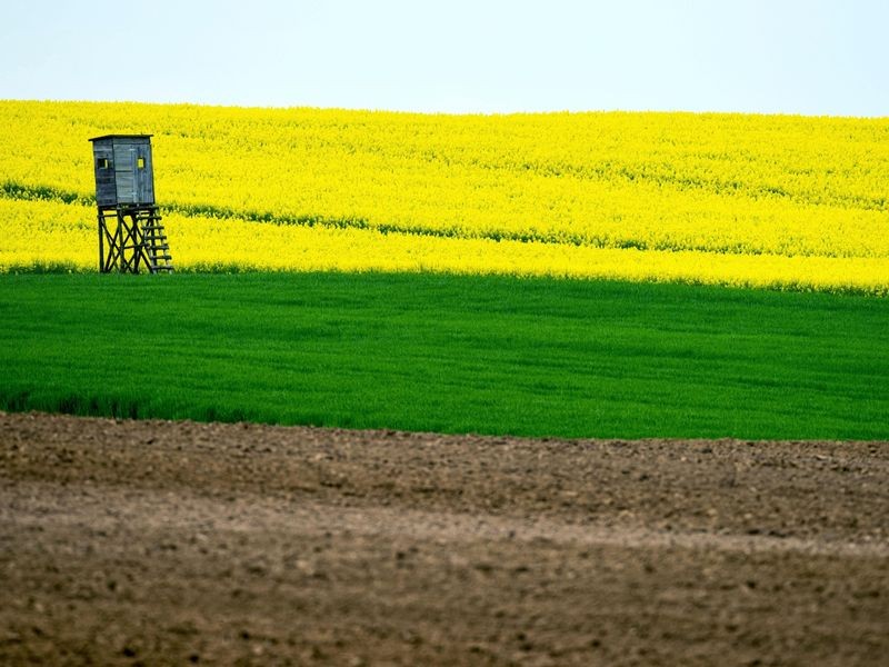 Preise für Ackerflächen in Niedersachsen verdoppelt