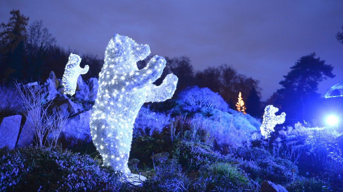 Der Botanische Garten wird wieder zum Christmas Garden