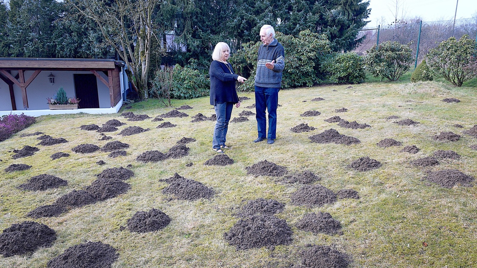 60+ Der Maulwurf Macht Den Ganzen Garten Kaputt, Und die bekannten