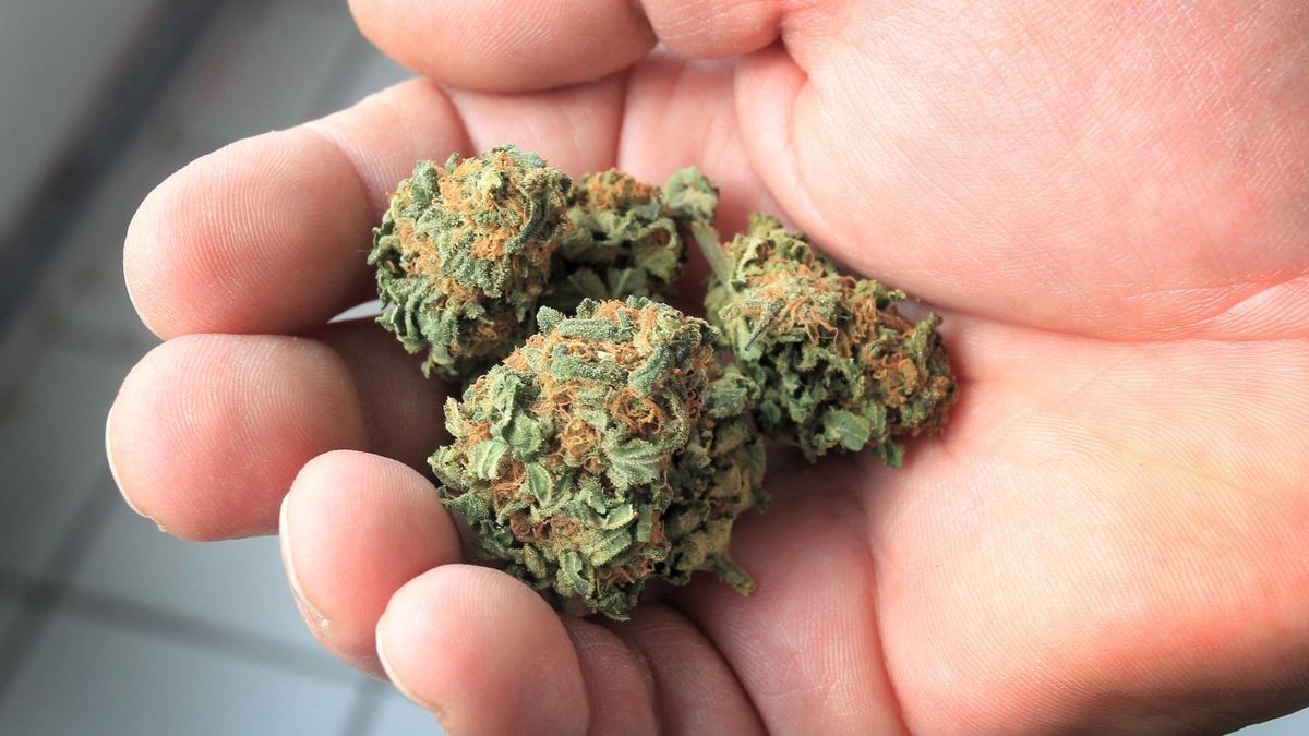 Cannabis auf Rezept Wann Ärzte die Droge verschreiben dürfen