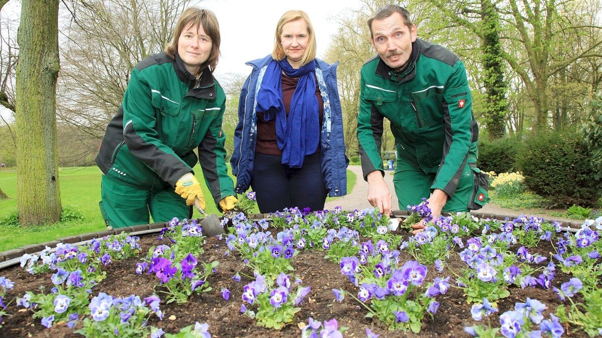 Blühendes Zeichen gegen dreisten Blumenklau