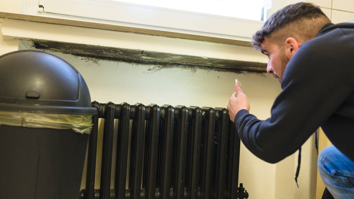 Nach Mieterbeschwerden Wohnungspolizei häufiger im Einsatz