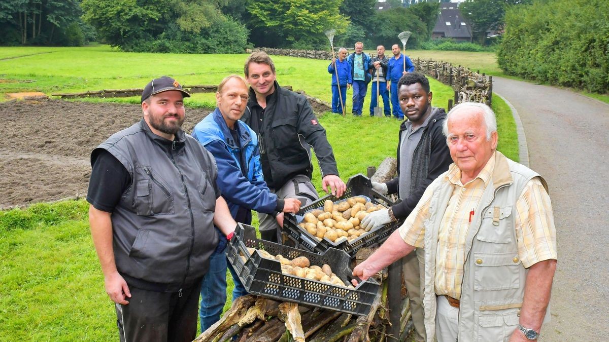 Garten wirft 100 Kilo Kartoffeln für Tafel ab