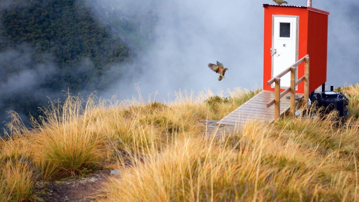 Work & Travel Für ein Jahr die große Freiheit in Neuseeland