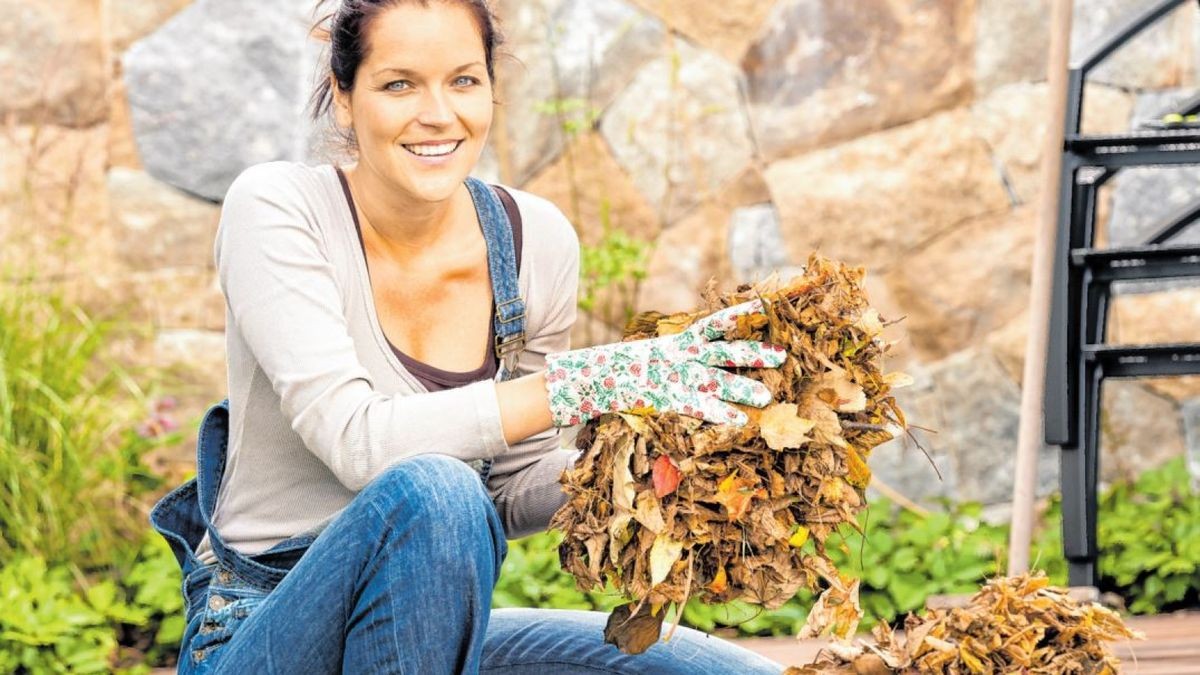 Das braucht der Garten im Herbst