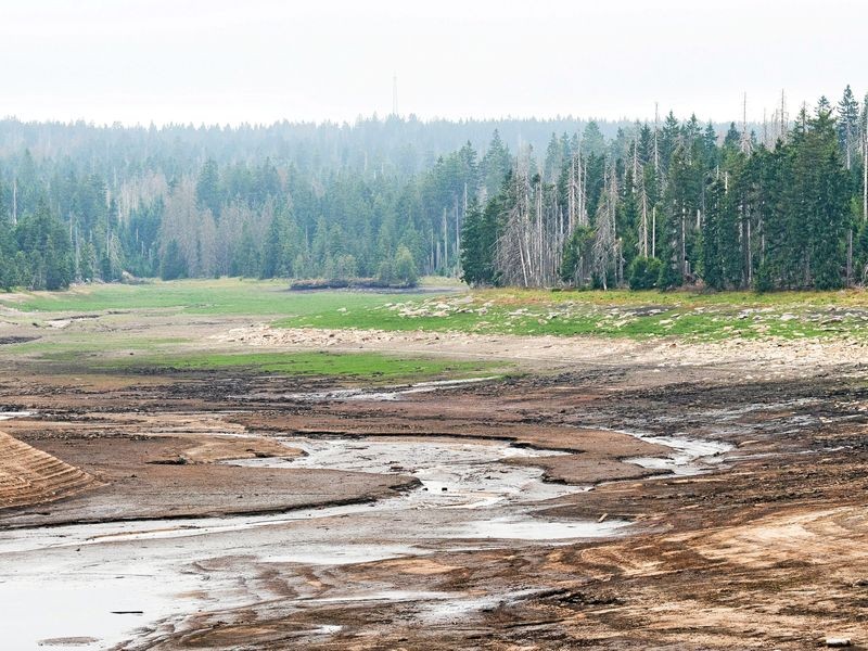 Wasserstand der Harzer Talsperren sinkt trotz Niederschlägen