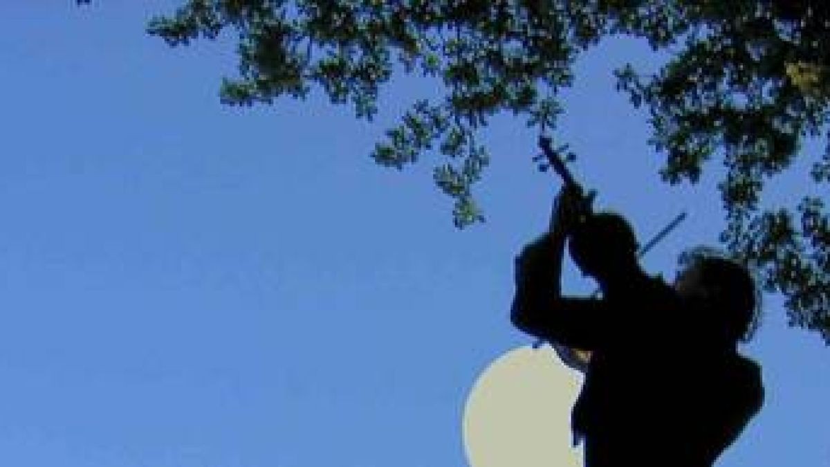 Gera stellt Alles Theater vor