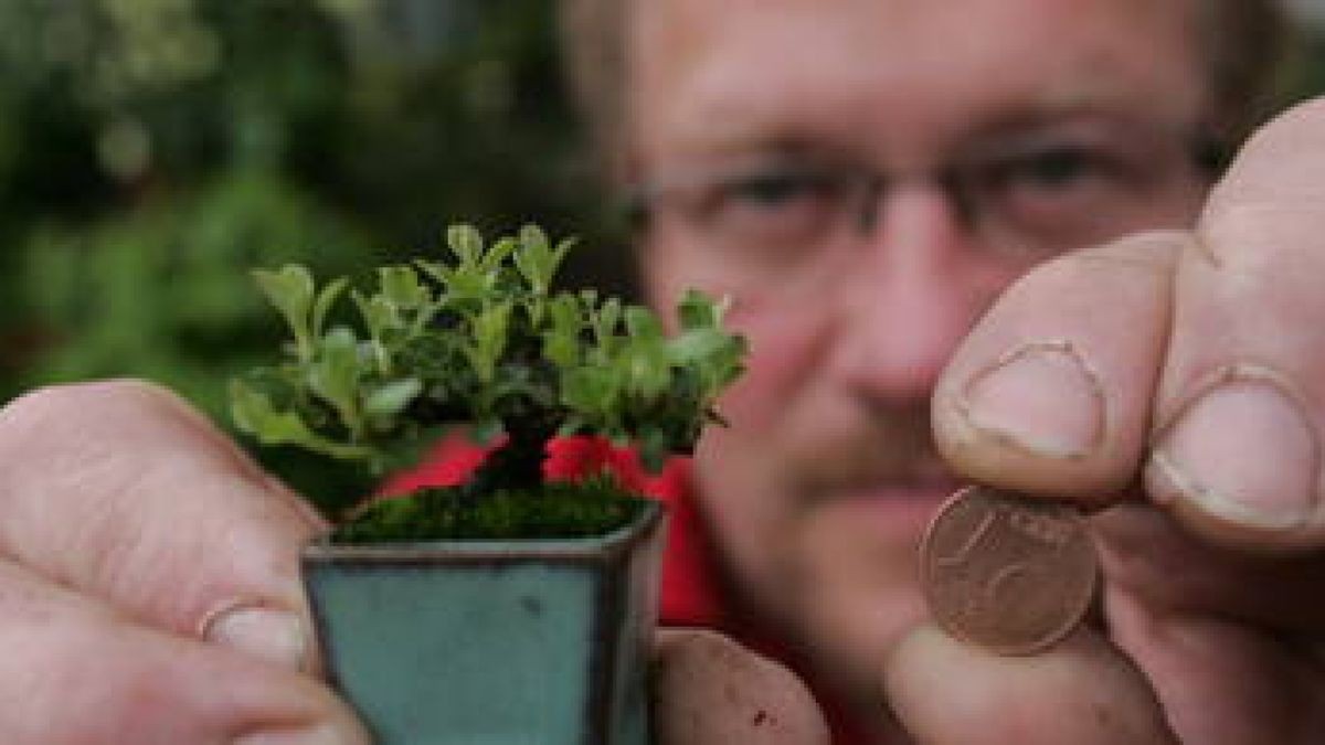 Sonntag ist 'Tag der offenen Gärten' im SHK