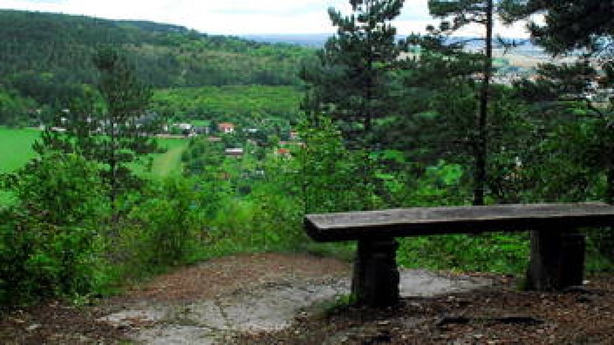 Erinnerung: An Dr. Adolf Franke erinnert die Bank, von der aus man vom Alteburg-Plateau hinunter ins Jonastal und hinüber zum Jungfernsprung schauen kann. Leider ist die Aussicht inzwischen sehr zugewachsen. Foto: Hans-Peter Stadermann