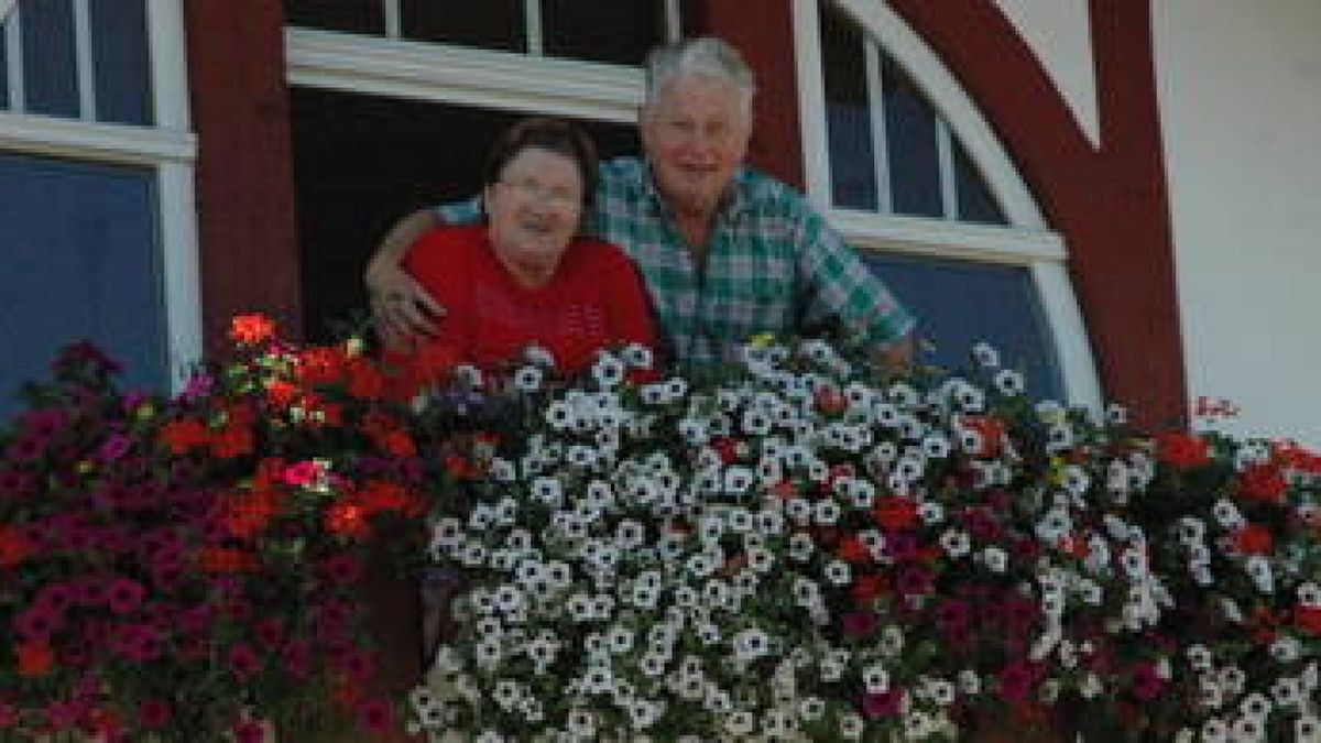 DahlienTeppich in einem in Lobenstein