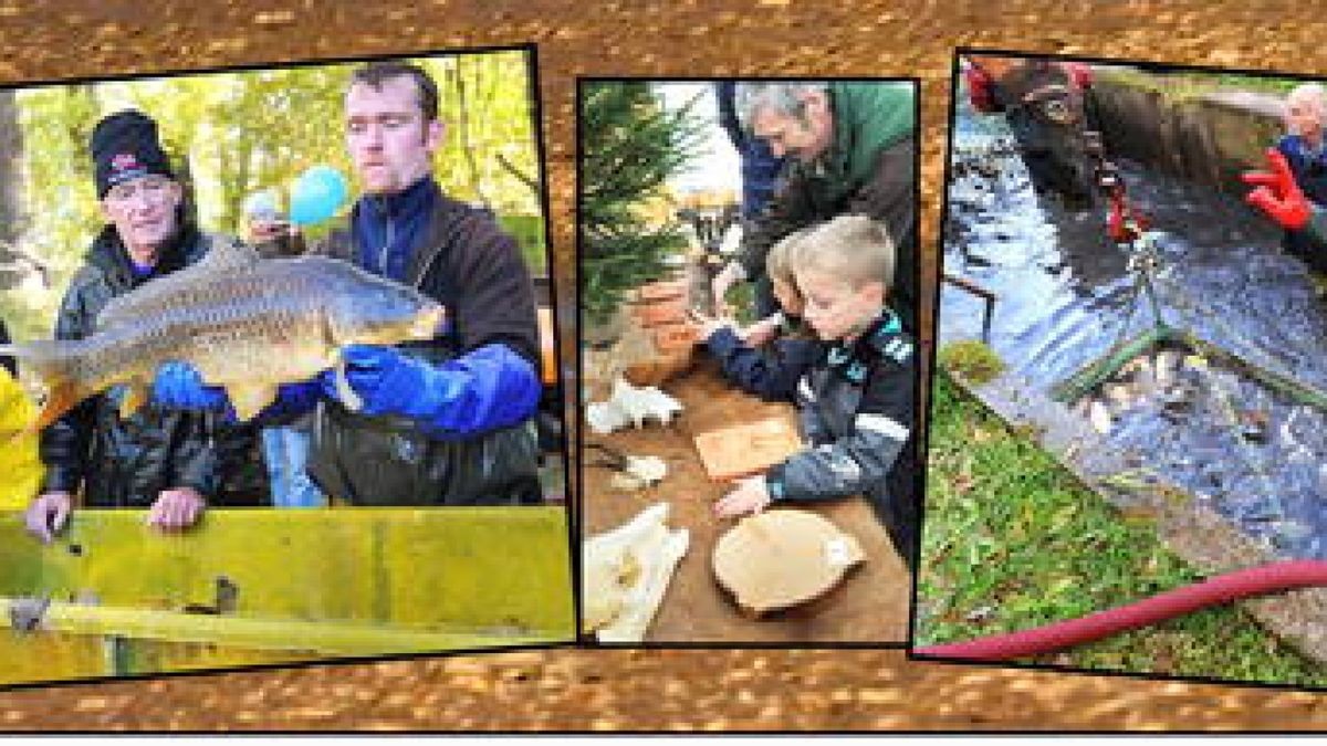 Ilmenau Fischerfest und Abfischen am Brandenburger Teich