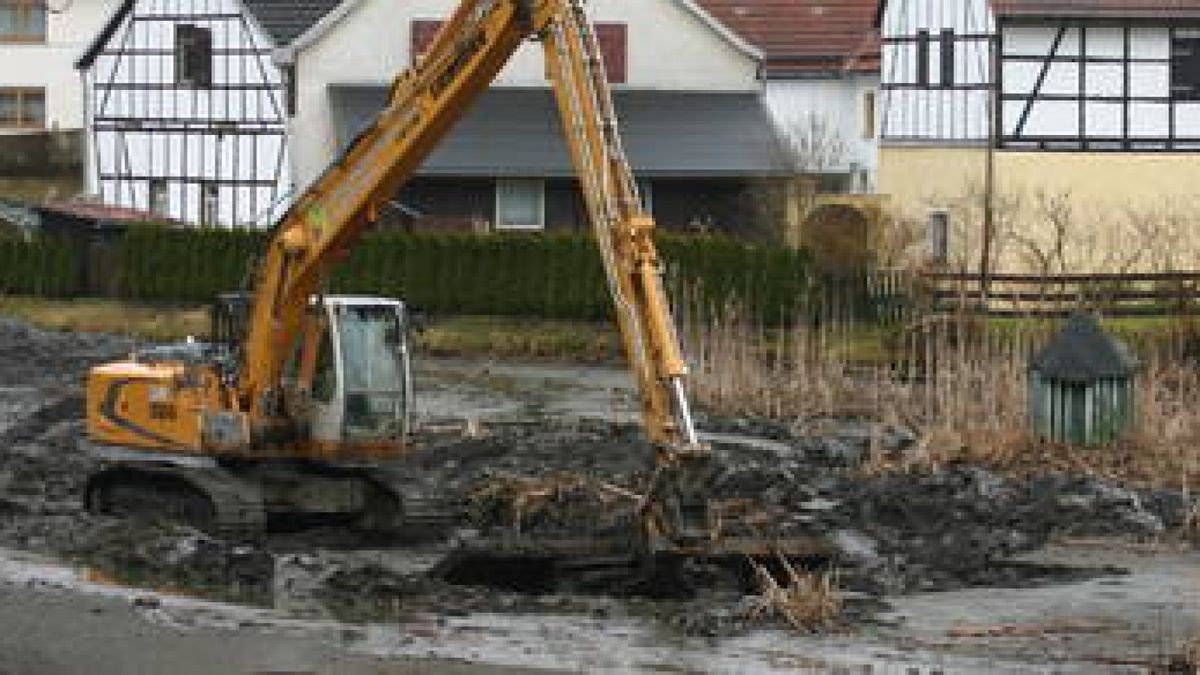 Lichtenau bei Neustadt Orla Einwohner beklagen Rattenplage am Teich