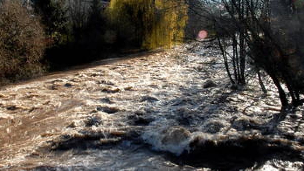 Noch gestern Mittag war die Zorge an der Brücke in der Hauptmann-Straße ein reißender Fluss ? trotz Pegelrückgangs um 30 Zentimeter. Foto: Claudia Gülland