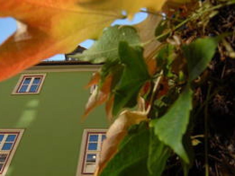 Jena vergibt CarolineSchlegelPreis für Essay und Feuilleton