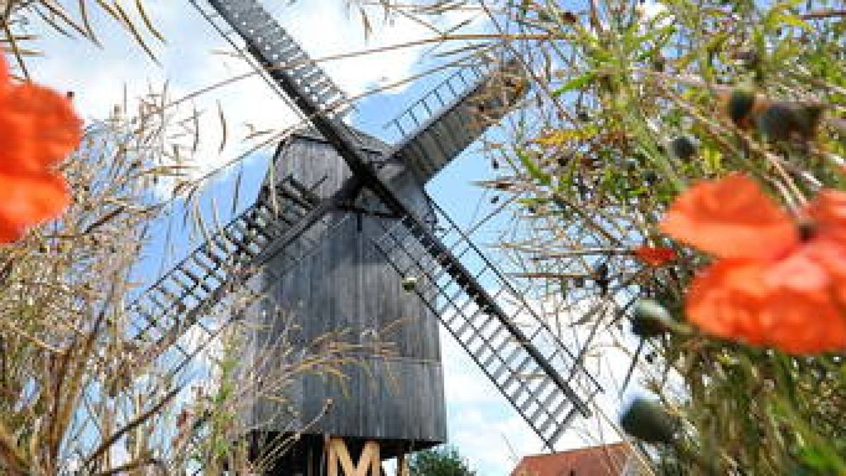 Mit viel Liebe und in Eigenleistung haben die Tüngedaer ihre Mühle in Schuss gebracht. Nun muss die Gemeinde den Hammer austauschen, damit die hässlichen Stützen unter dem im Wartburgkreis einmaligen Denkmal bald wieder entfernt werden können. Foto: Jens König