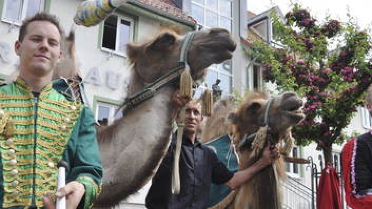 Die Schlotheimer staunten am Mittwoch nicht schlecht, als die Kamele Kenia und Sultan vom Zirkus 