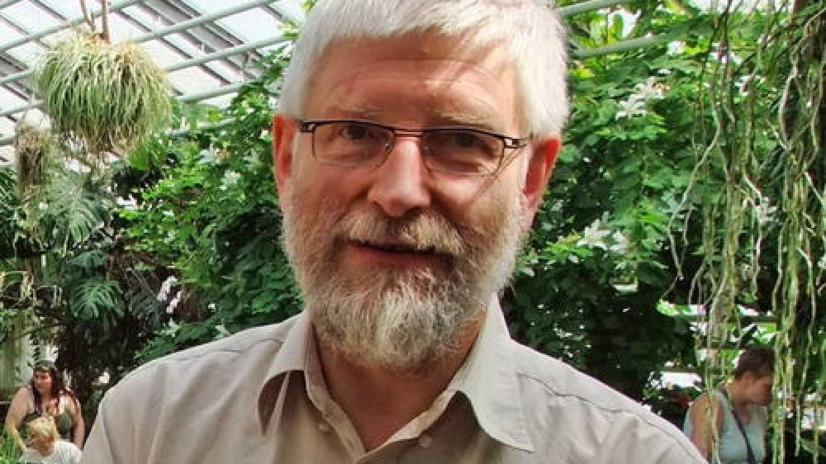 Experte erklärt, wie der Löwenzahn zur Pusteblume wird