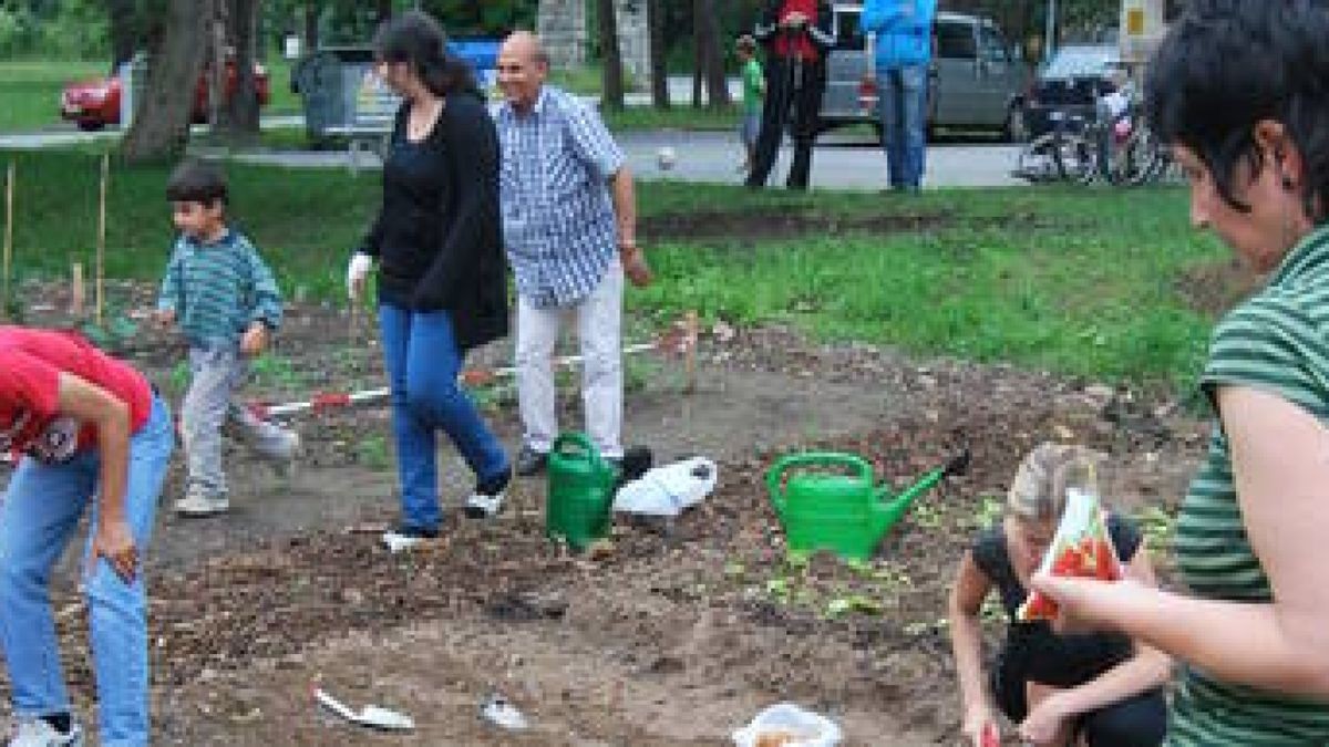 56+ Der Interkulturelle Garten Ist Gesichert, Der beitrag zeigt die