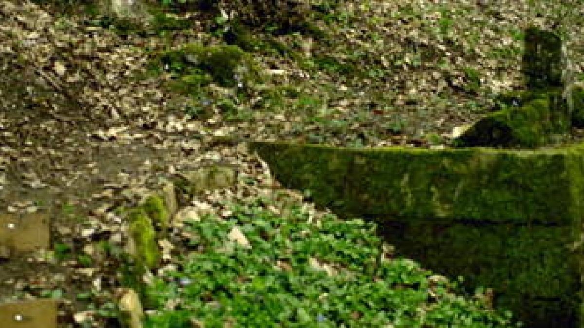 Das Grab der Dunkelgräfin in Hildburghausen. Foto: Harald Fahrnholz