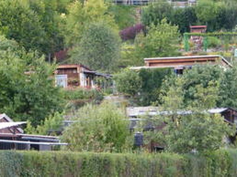 Warten auf den Garten Immer mehr Interessenten für Kleingärten in Saalfeld