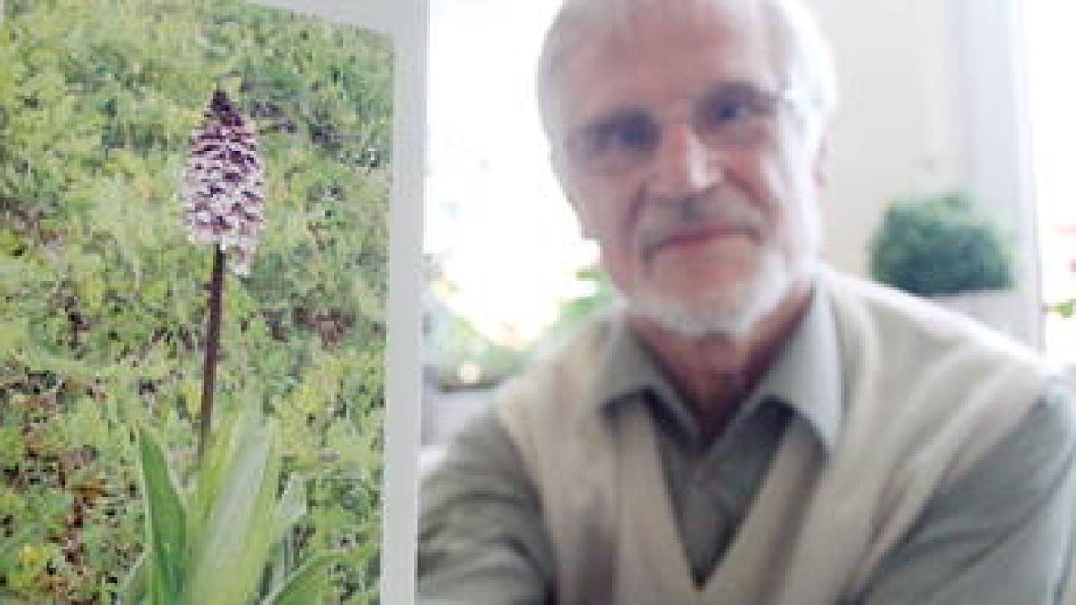 Volker Kögler zeigt das Purpur-Knabenkraut als Orchidee des Jahres 2013. Foto: Marco Schmidt