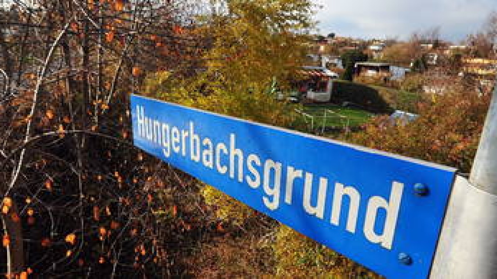 Hungerbach sprudelt wieder an Wiesen und Äckern entlang