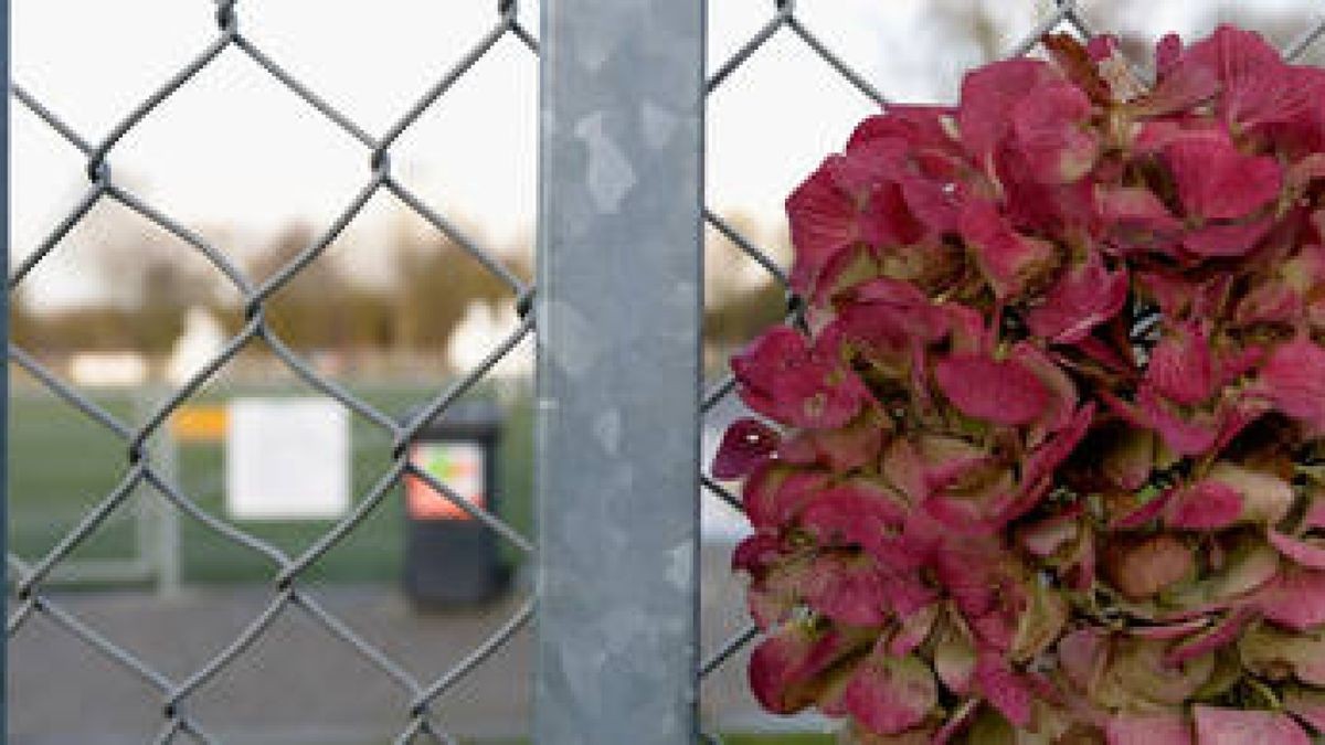 Blumen wurden am Stadiongelände vom S.C. Buitenboys im Gedenken an den Linienrichter niedergelegt. Foto: Getty Images