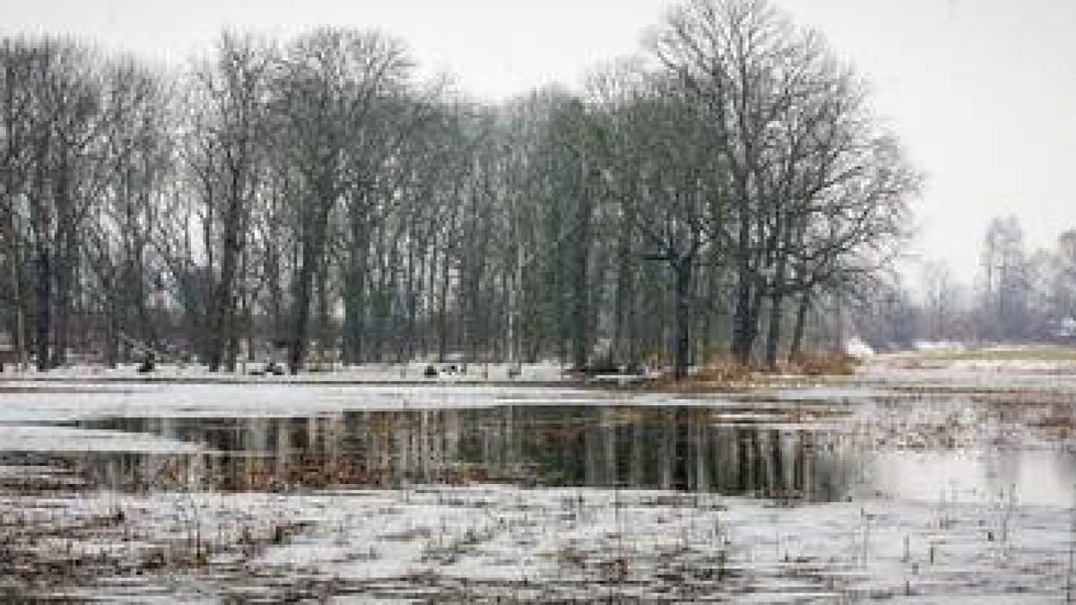 Teersee Rositz Mit dem Wasser kommt das Gift