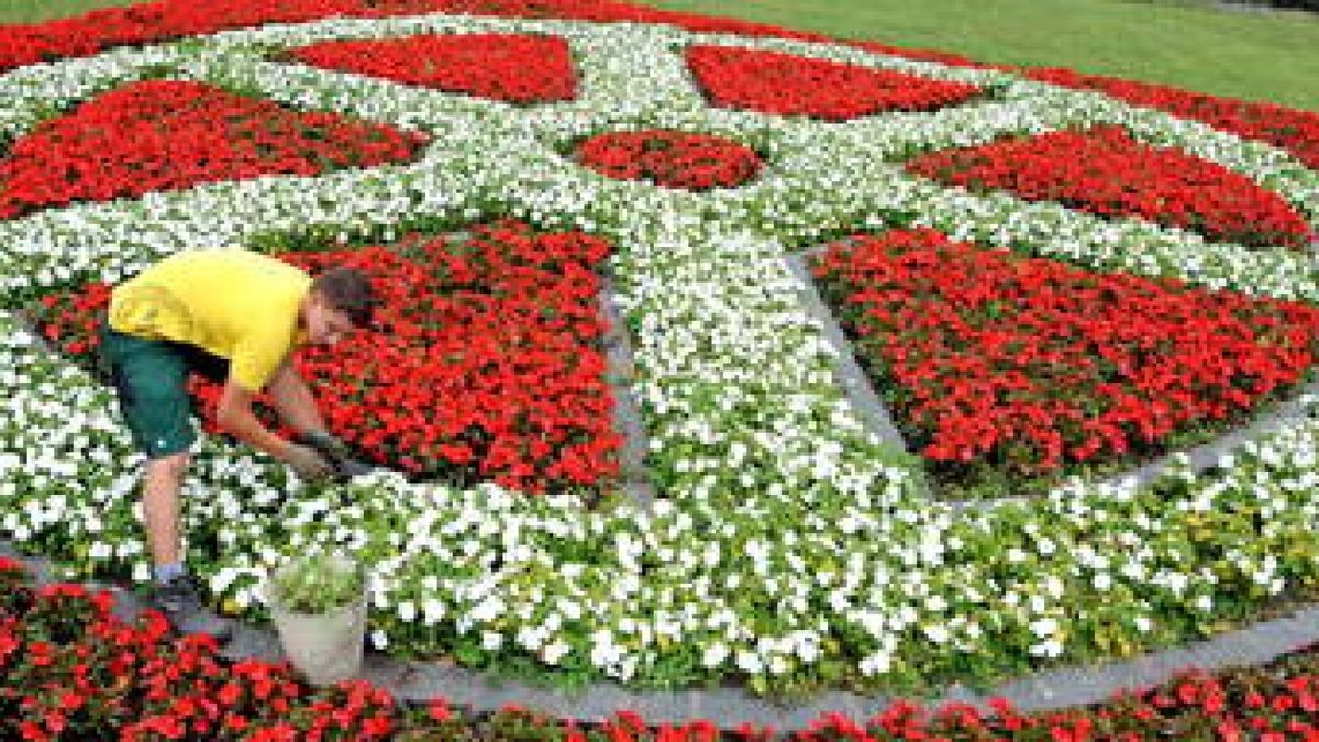 Blumenstadt Erfurt Knapp 100 Gärtner pflegen die Grünanlagen