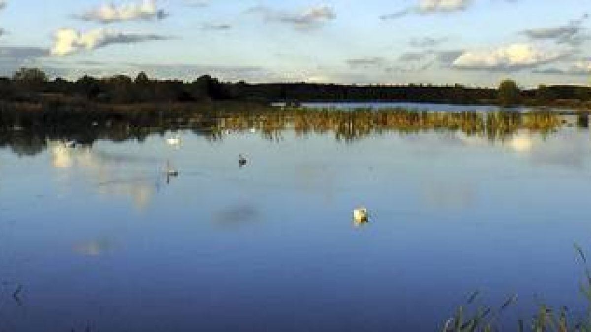 Sommertipps Die Plothener Teiche Ein Paradies für Vogelfreunde
