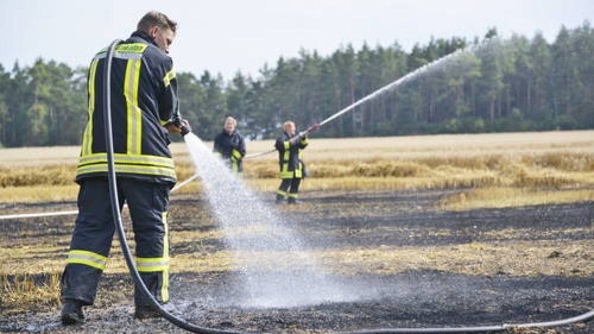 25.08. Die Feuerwehren von Blankenhain und Thangelstedt rückten am Samstag aus, um ein brennendes  Stoppelfeld zu löschen. Der Brand bedrohte den nahen Wald. Foto: Stefan Eberhardt