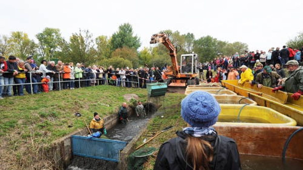 Fischerfest in Ilmenau