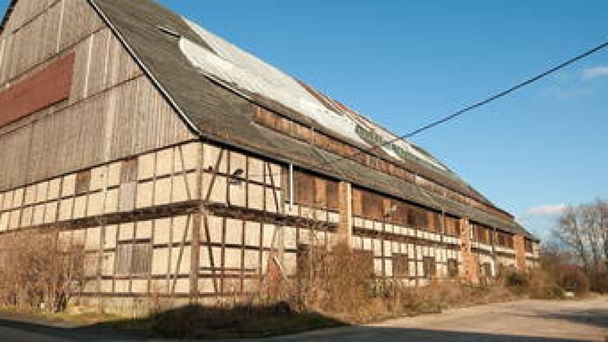 Großflächig hat der Wind das Dach der Viehauktionshalle an mehreren Stellen abgedeckt. Reparaturen will der Konsum in Auftrag geben. Für eine Sanierung muss zunächst eine realistische Nutzung her. Foto: Thomas Müller 