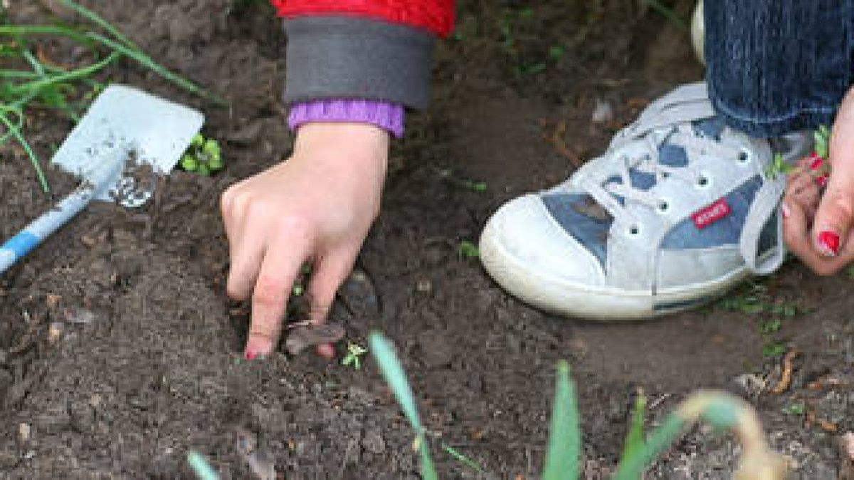 In den Großstädten entfremden sich die Kinder und Jugendlichen immer mehr von der Natur. Das 