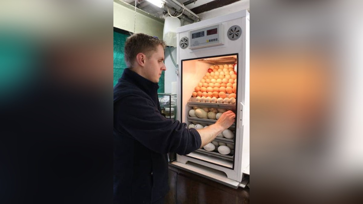 FreilandFestmahl zu Ostern bei David Fleischer aus Zoghaus