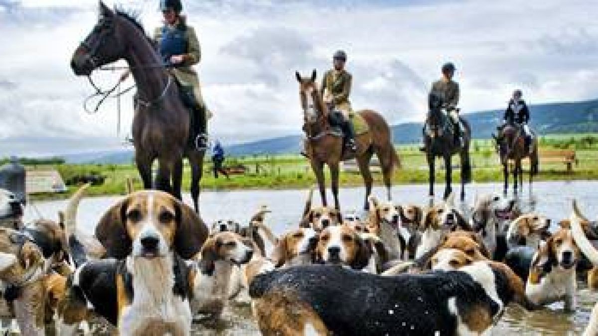 Malerisch wirkt das Bild. Die Beagles sind mit Eifer dabei und schätzen eine kleine Abkühlung. Immerhin laufen sie während der Jagd mehr als 25 Kilometer. Fotos: Sascha Fromm