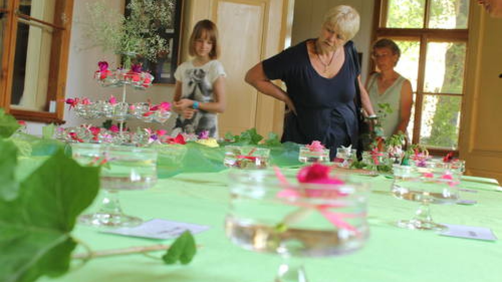Gartenzauber Die Pflanzenbörse im Botanischen Garten Gera