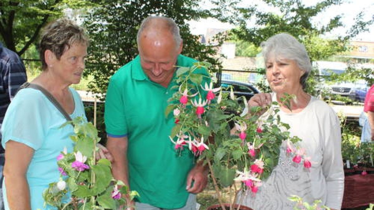 Gartenzauber Die Pflanzenbörse im Botanischen Garten Gera