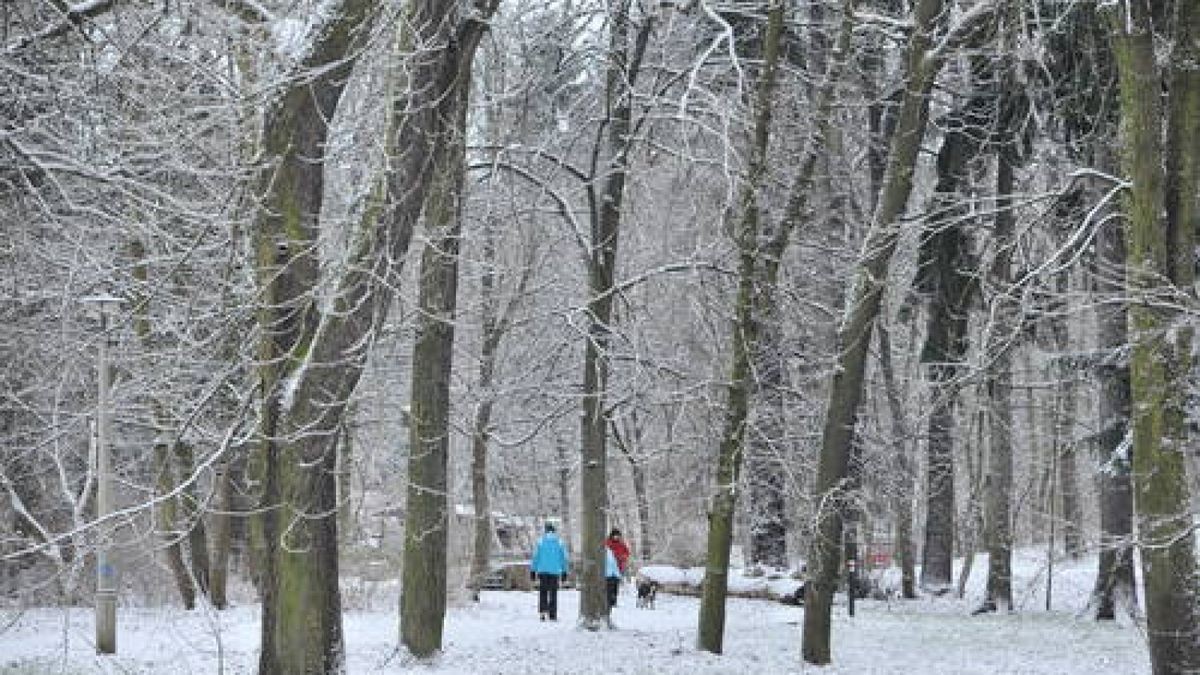 Spaziergänger laufen durch die Schötener Winter-Promenade. Foto: Sascha Margon