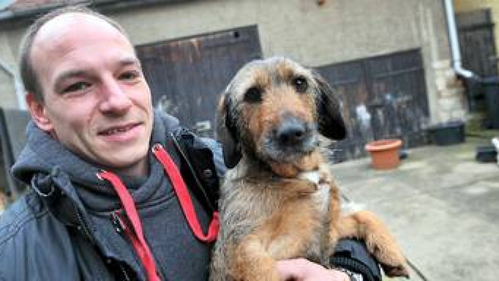 In Zottelstedt wurde offensichtlich schon wieder ein Hund vergiftet