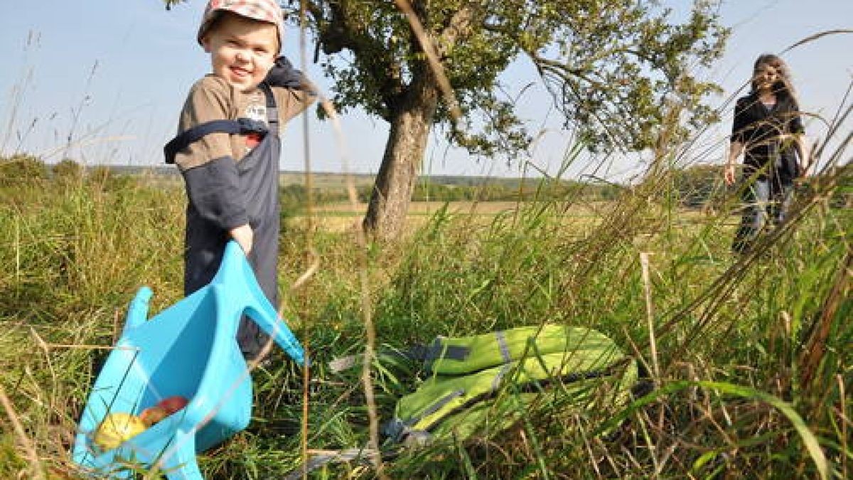 21.09. Weimar / Gaberndorf. Viel mehr Teilnehmer als erwartet: 170 Helfer beim Weimarer Freiwilligentag leisteten rund 680 Stunden. Im Bild vorn: Ein junger Helfer auf einer Streuobstwiese nahe Gaberndorf. Foto: Sabine Brandt