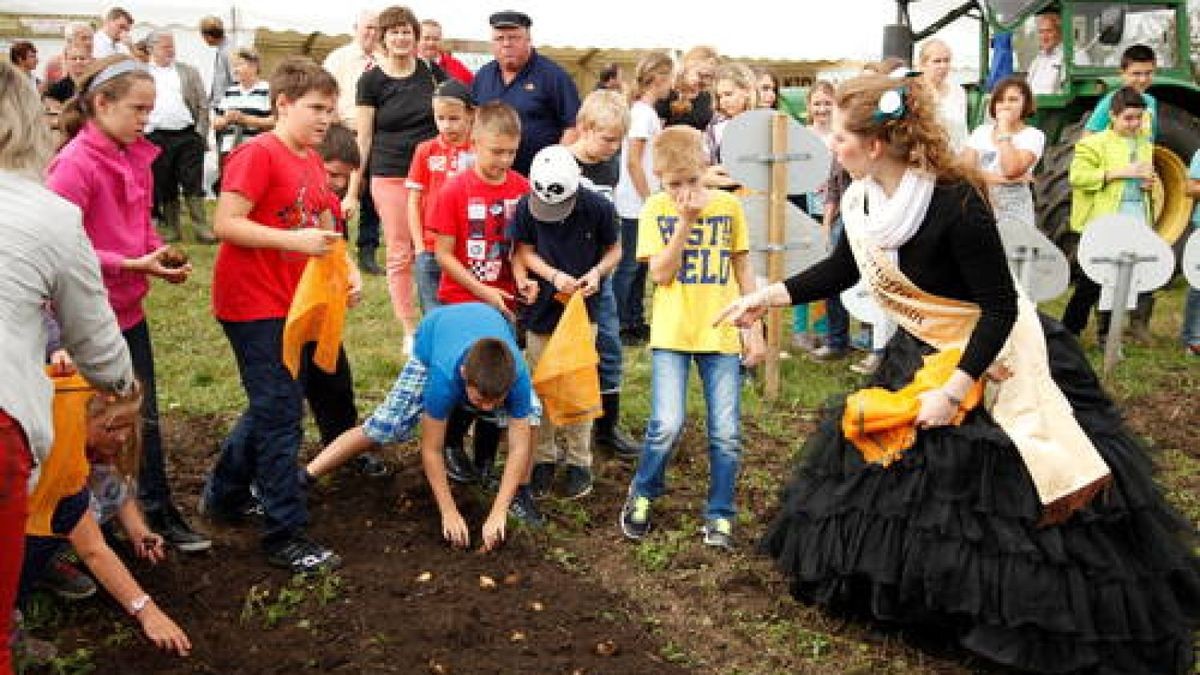 10.09. Kinder und Prominente trafen sich in Heichelheim zur traditionellen Knollen-Lese. Foto: Stefan Karl