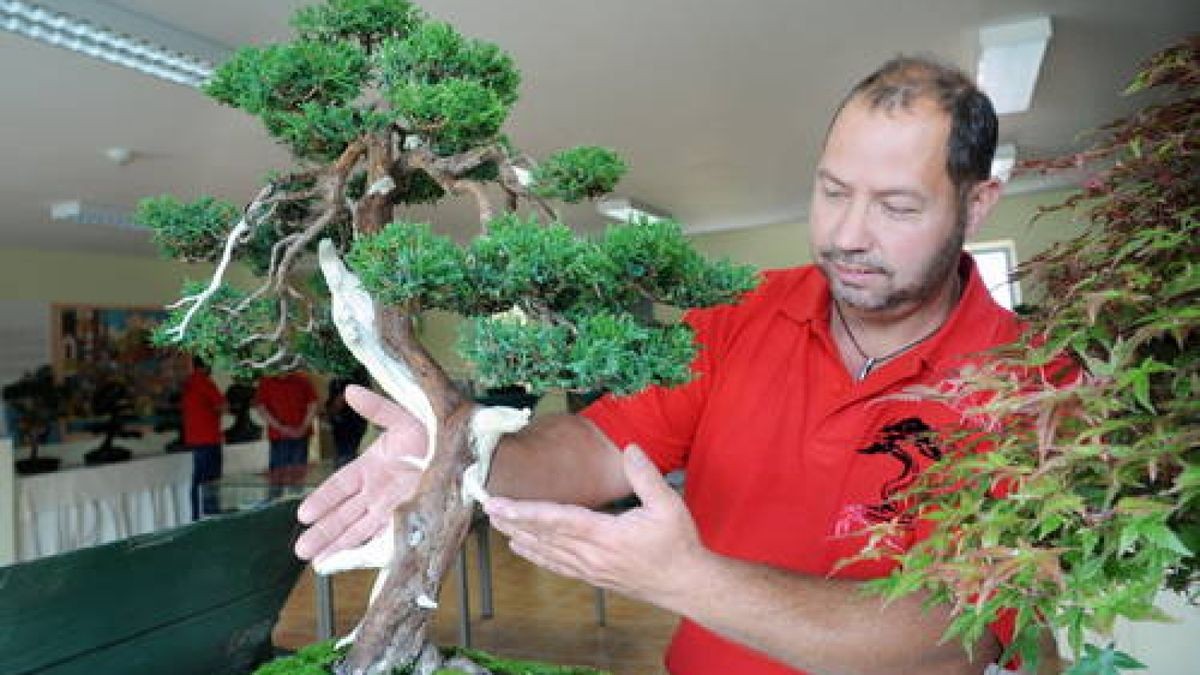 09.09. Bonsai und Klöße - fernöstliche Gartenkunst und thüringische Küchentradition in der Thüringer Kloßwelt Heichelheim. Foto: Michael Baar