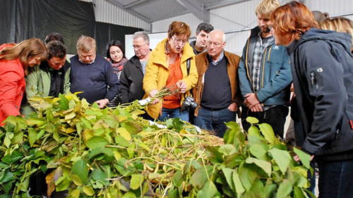 03.09. Buttelstedt. 2. Thüringer Sojatag im Lehr-, Prüf- und Versuchsgut. Im Bild: Organisatorin Sabine Wölfel von der Thüringer Landesanstalt für Landwirtschaft (Mitte) im Gespräch mit Teilnehmern des Projekttages. Foto: Hannsjörg Schumann